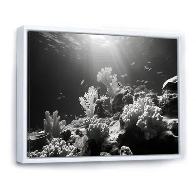Design Art Black And White Coastal Corals I - Beach & Ocean Canvas Art Print In White Floater Framed