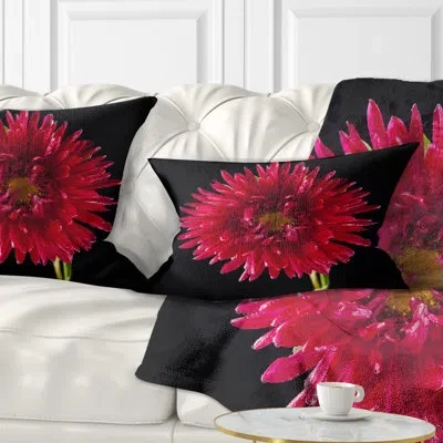 Design Art Chrysanthemum Flower On Black - Floral Printed Pillow
