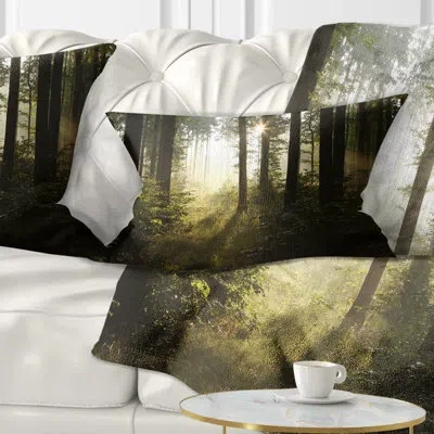 Design Art Early Morning Sun In Misty Forest Landscape Photography Lumbar Pillow