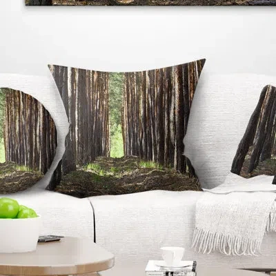 Design Art Even Rows Of Pine Tree Forest - Forest Printed Pillow In Brown