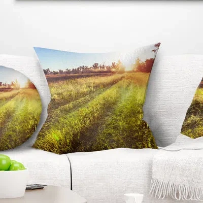 Design Art Farm Road In Rural Meadow - Landscape Printed Throw Pillow In Green