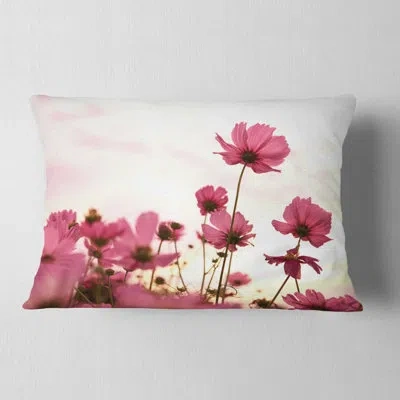 Design Art Floral Cosmos Flowers Meadow At Sunset Lumbar Pillow