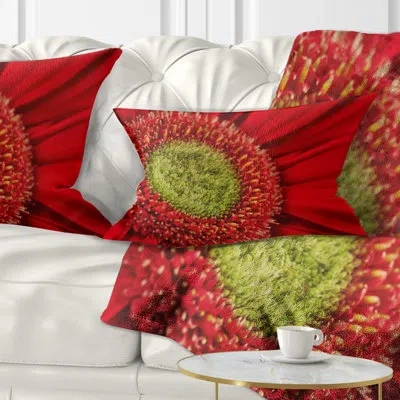 Design Art Flowerswork Daisy Gerbera Flower Close Up Lumbar Pillow
