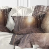 Design Art Forest Pathway View At Sunset - Forest Printed Throw Pillow