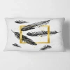 Design Art Frame And Feathers Rectangular Pillow Cover & Insert