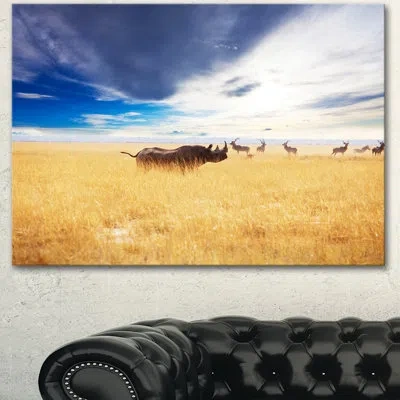 Design Art 'huge Rhino With Antelopes' Photographic Print On Wrapped Canvas In Brown