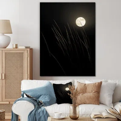 Design Art Ivory Isolation Moonlight I In Wrapped Canvas