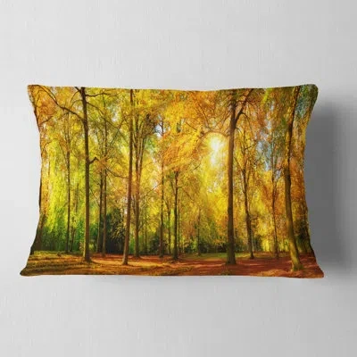 Design Art Landscape Photography Gorgeous Autumn Of Sunny Forest Lumbar Pillow