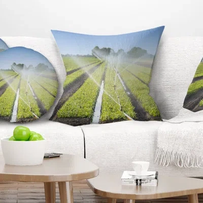 Design Art Landscape Printed Beautiful View Of Crops Watering Pillow In Blue;black;brown;green;red;yellow