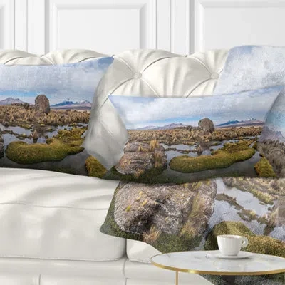 Design Art Landscape Printed Bolivia Volcanoes Panoramic View Lumbar Pillow