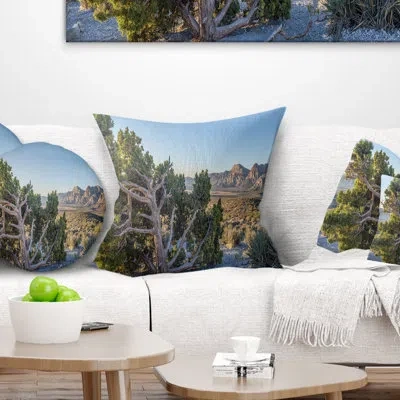 Design Art Landscape Printed Large Rock Canyon Panorama Pillow In Red