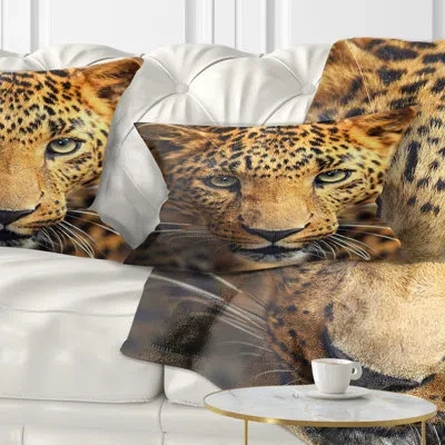 Design Art Leopard Face Close Up - Animal Printed Pillow