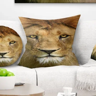 Design Art Lion With Calm Face - Animal Printed Pillow In Brown;white