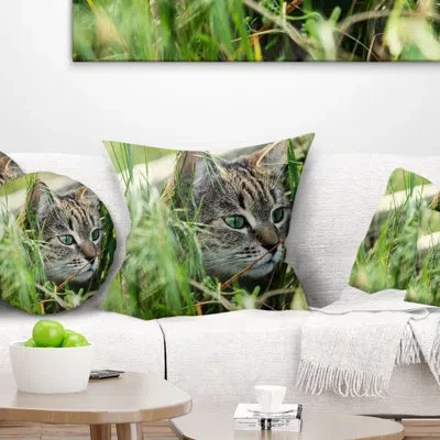 Design Art Lovely Kitten In Grass - Animal Printed Pillow In Green