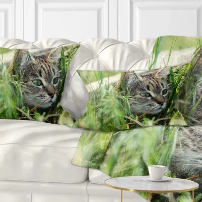 Design Art Lovely Kitten In Grass - Animal Printed Throw Pillow