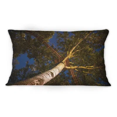 Design Art Low Angle View Of The Trees With A Walkway -1 Traditional Printed Throw Pillow