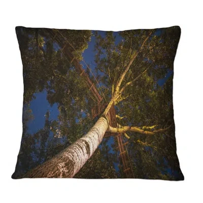 Design Art Low Angle View Of The Trees With A Walkway - Traditional Printed Throw Pillow In Brown