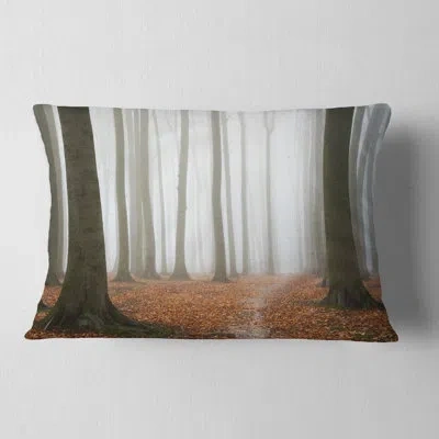 Design Art Misty Autumn Beech Forest - Landscape Printed Pillow