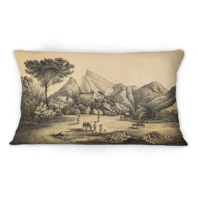 Design Art Nature Of South America Old Image Ix - Traditional Printed Throw Pillow 1