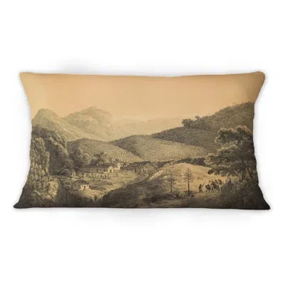 Design Art Nature Of South America Old Image Vi - Traditional Printed Throw Pillow 1