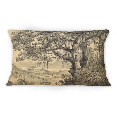 Design Art Nature Of South America Old Image Vii - Traditional Printed Throw Pillow 1