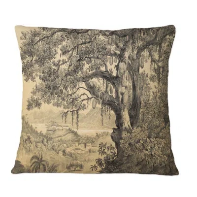 Design Art Nature Of South America Old Image Vii - Traditional Printed Throw Pillow In Black;white