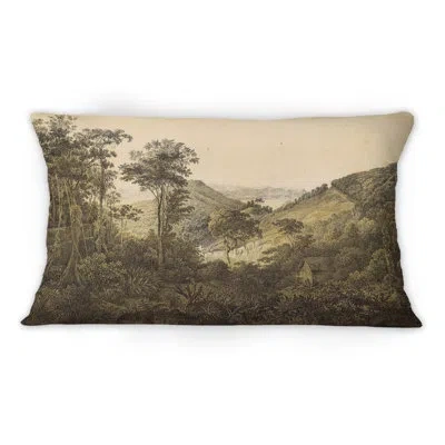Design Art Nature Of South America Old Image Viii - Traditional Printed Throw Pillow 1