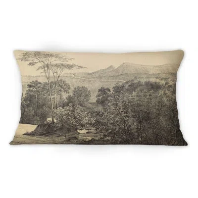 Design Art Nature Of South America Old Image X - Traditional Printed Throw Pillow 1