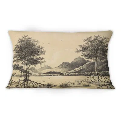 Design Art Nature Of South America Old Image Xi - Traditional Printed Throw Pillow 1