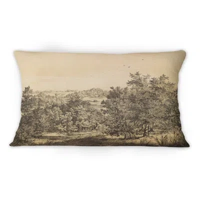 Design Art Nature Of South America Old Image Xii - Traditional Printed Throw Pillow 1