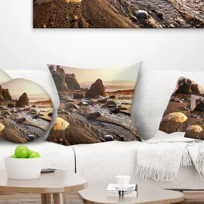 Design Art Olympic National Park Coast - Sea & Shore Printed Pillow In Brown