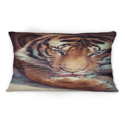 Design Art Portrait Of A Tigers Face Ii -1 Traditional Printed Throw Pillow