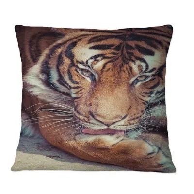 Design Art Portrait Of A Tigers Face Ii - Traditional Printed Throw Pillow In Brown