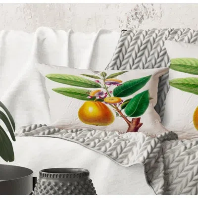 Design Art Rectangle,vintage Fruits I - Farmhouse Printed Throw Pillow
