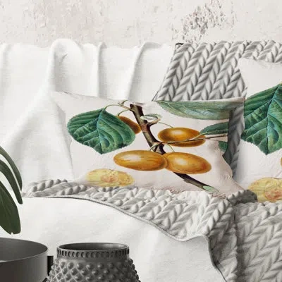 Design Art Rectangle,vintage Fruits Ii - Farmhouse Printed Throw Pillow