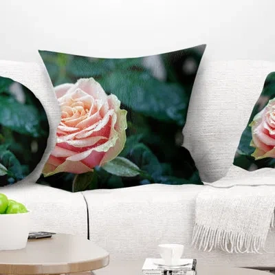 Design Art Red And Orange Rose Flower Close Up - Floral Printed Pillow In Red;orange
