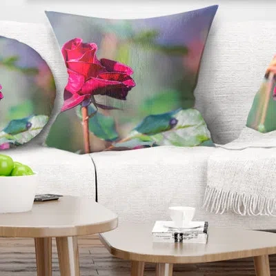 Design Art Red Rose On Blurred Background - Floral Printed Pillow
