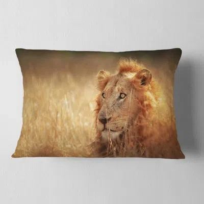 Design Art Relaxing Lion In Grassland - Animal Printed Throw Pillow