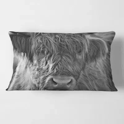 Design Art Scottish Highland Cows Living On Moorland Rectangular Pillow Cover & Insert