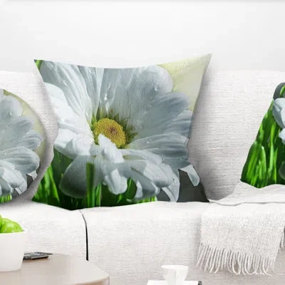 Design Art Single Beautiful Daisy Flower - Floral Printed Pillow In White