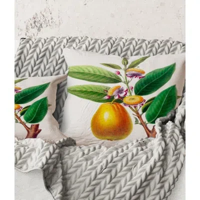 Design Art Square,vintage Fruits I - Farmhouse Printed Throw Pillow In Green;orange;green;orange