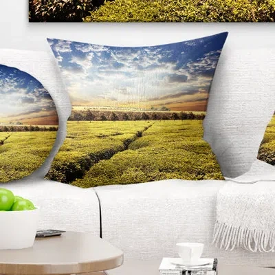 Design Art Tea Plantation Under Cloudy Sky - Landscape Printed Pillow In Green