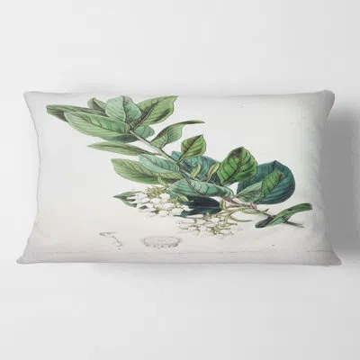 Design Art Vintage Botanicals Xx - Traditional Printed Pillow