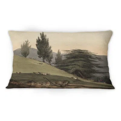Design Art Vintage Images Of Old Trees Ii - Traditional Printed Throw Pillow 1