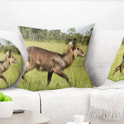 Design Art Waterbuck Antelope In Green Grass - Animal Printed Pillow