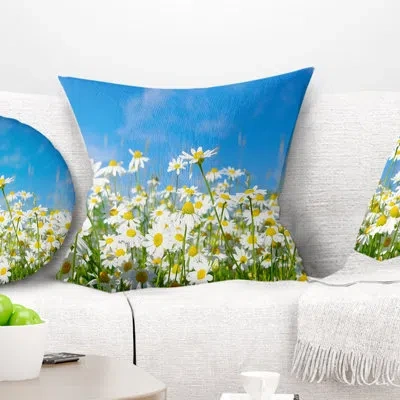 Design Art White Daisies Under Bright Blue Sky - Floral Daisies Under Sky Pillow In Blue;white