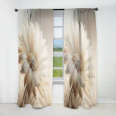 Design Art White Gerbera Flowers Iii - Floral Velvet Curtain - 1 Panel In White;gray
