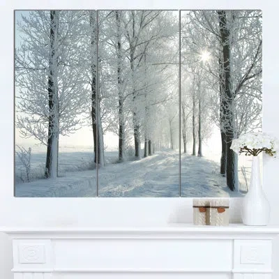 Design Art 'winter Trees Backlit By Morning Sun' 3 Piece Photographic Print On Wrapped Canvas Set In White