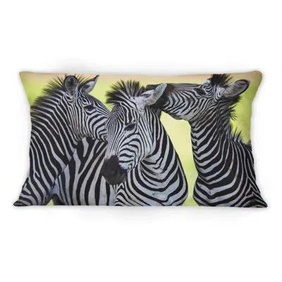 Design Art Zebras Socialising And Kissing -1 Traditional Printed Throw Pillow