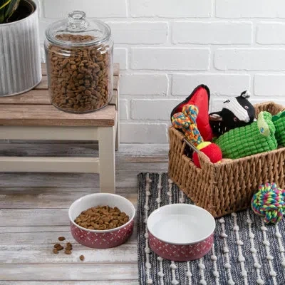Design Imports Anti-skid Pet Bowl In Multi